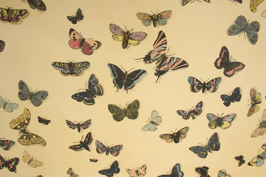 Fornasetti Butterfly Table